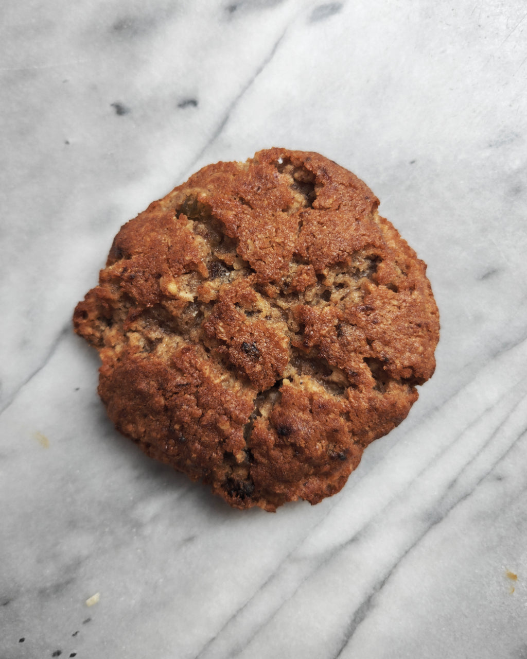 Huisgemaakte Vegan Oatmeal Raisin Cookie 