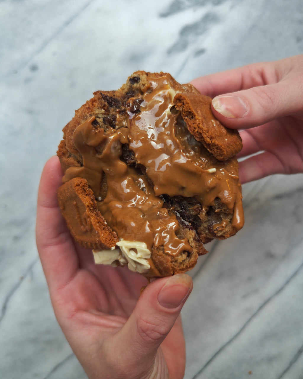 Doormidden gebroken Speculoos Chocolate Cookie VEGAN. Huisgemaakt